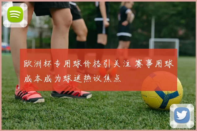 欧洲杯专用球价格引关注 赛事用球成本成为球迷热议焦点