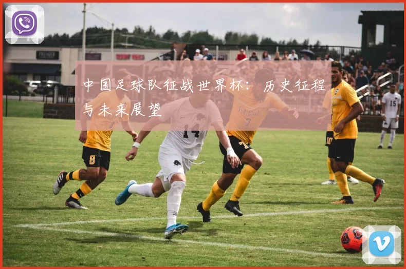 中国足球队征战世界杯:历史征程与未来展望