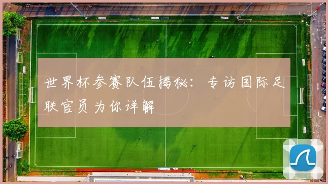 世界杯参赛队伍揭秘:专访国际足联官员为你详解