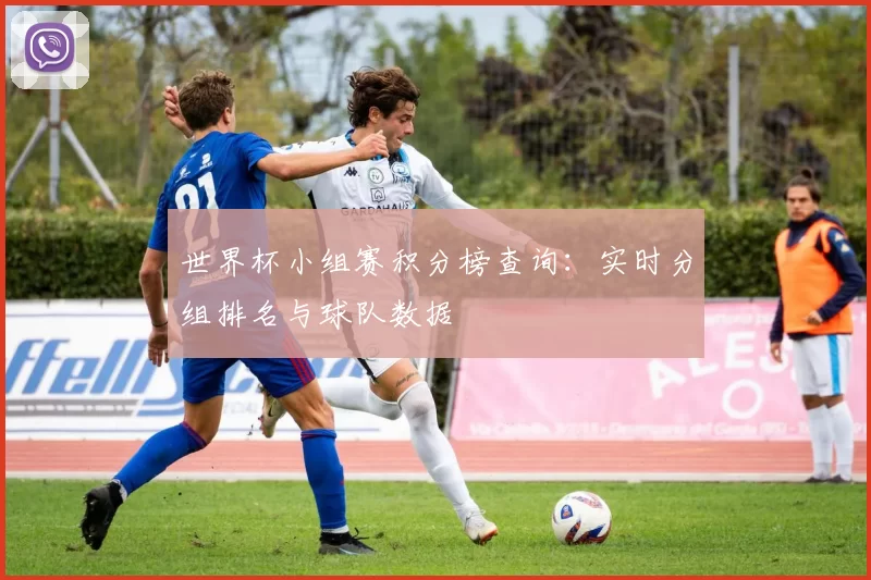 世界杯小组赛积分榜查询：实时分组排名与球队数据