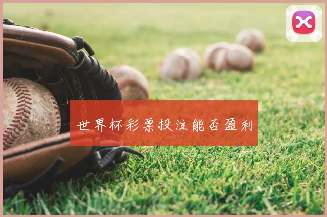 世界杯彩票投注能否盈利