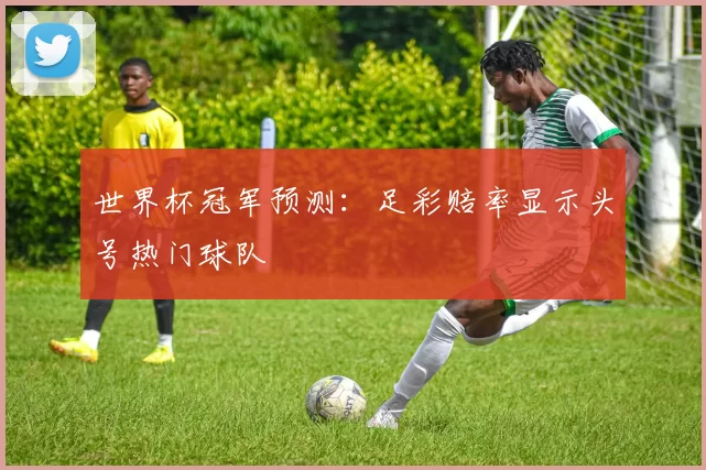 世界杯冠军预测:足彩赔率显示头号热门球队