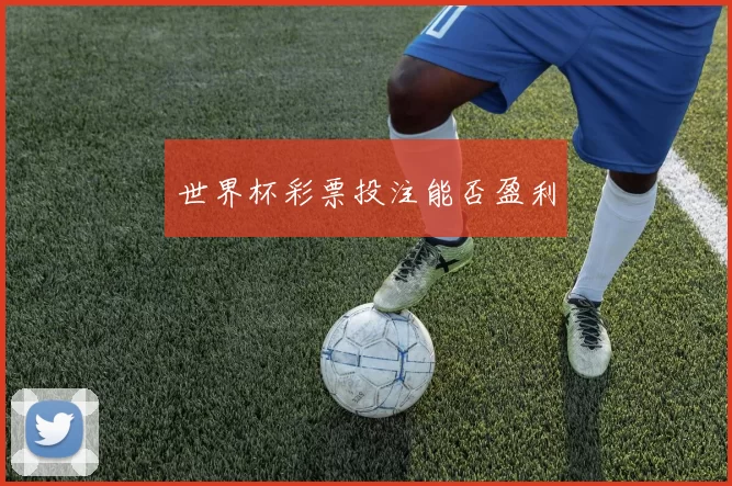 世界杯彩票投注能否盈利