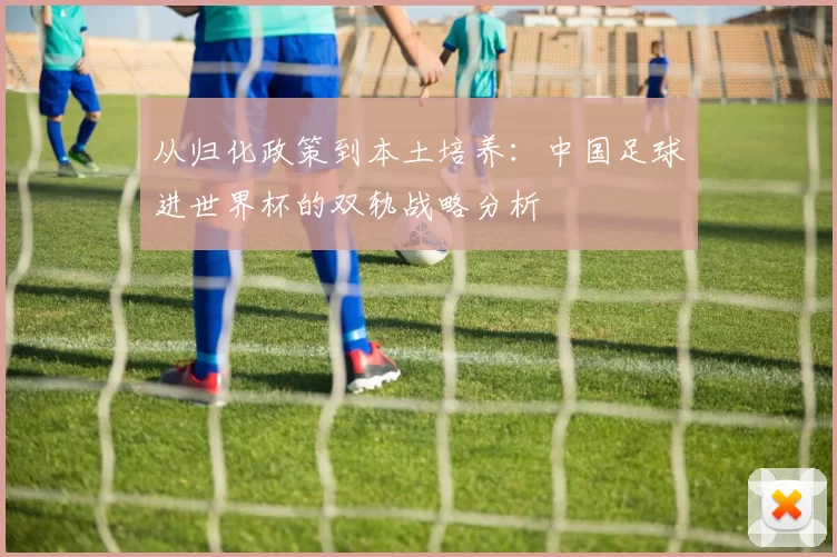 从归化政策到本土培养:中国足球进世界杯的双轨战略分析