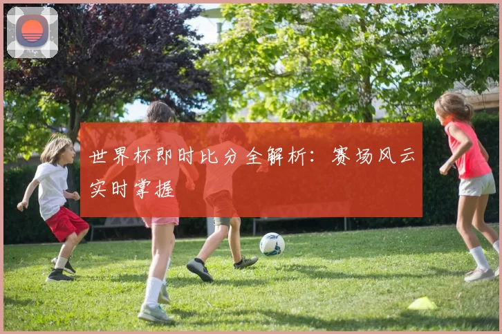 世界杯即时比分全解析:赛场风云实时掌握