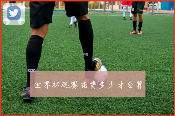 世界杯观赛花费多少才合算