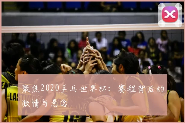 聚焦2020乒乓世界杯:赛程背后的激情与悬念