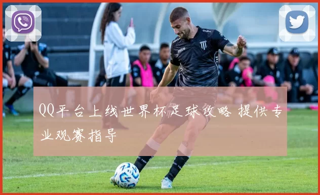 QQ平台上线世界杯足球攻略 提供专业观赛指导