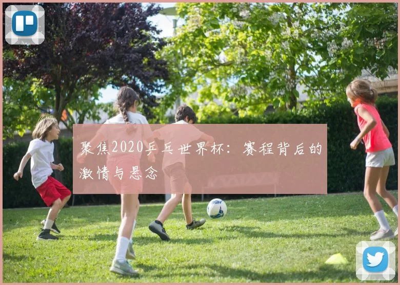 聚焦2020乒乓世界杯:赛程背后的激情与悬念