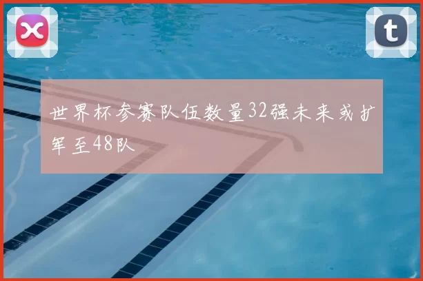 世界杯参赛队伍数量32强未来或扩军至48队